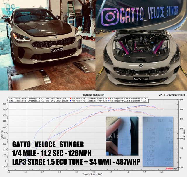 Gatto_Veloce_Stinger Banner.jpg